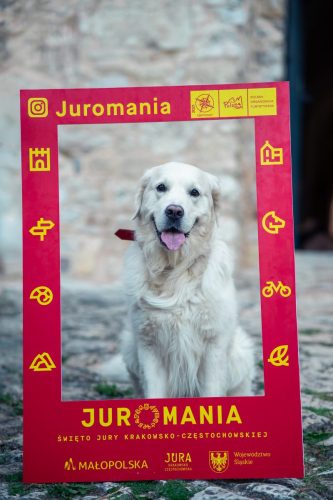 Juromania `25