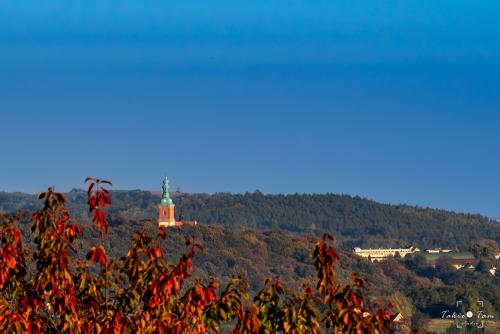 Babice- Widok na Klasztor w Alwerni