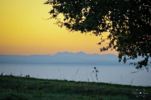 Kwaczała- Kamionka- Widok na Tatry